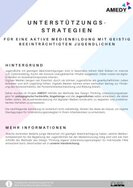 Ansicht: Unterstützungsstrategien | AMEDY 