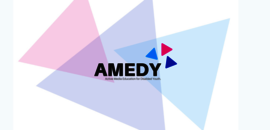 Logo AMEDY (Active Media Education for Disabled Youth)